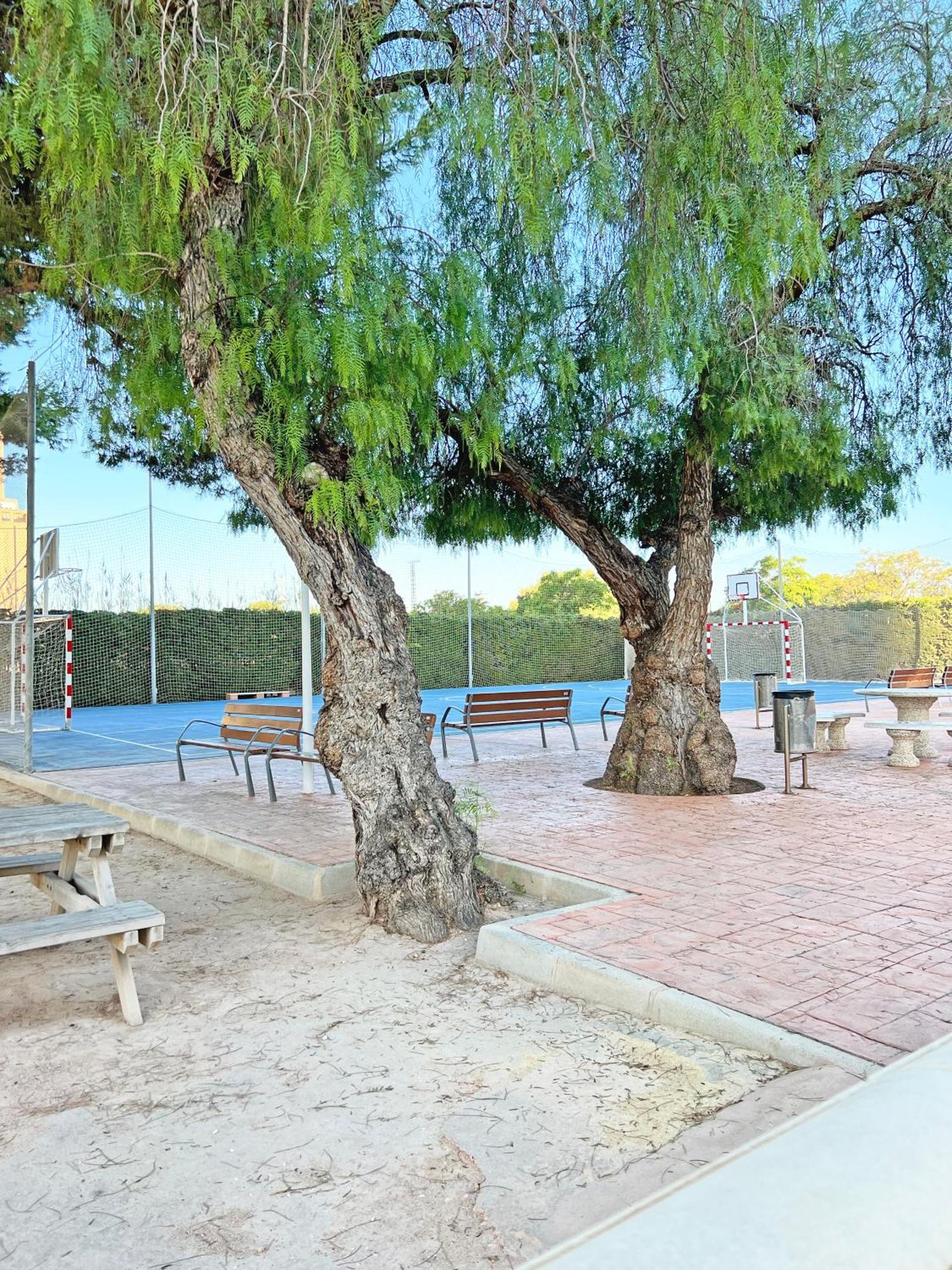 Coqueto Con Piscina, Nuevo A 50m Del Mar, Parking Gratis Appartement *