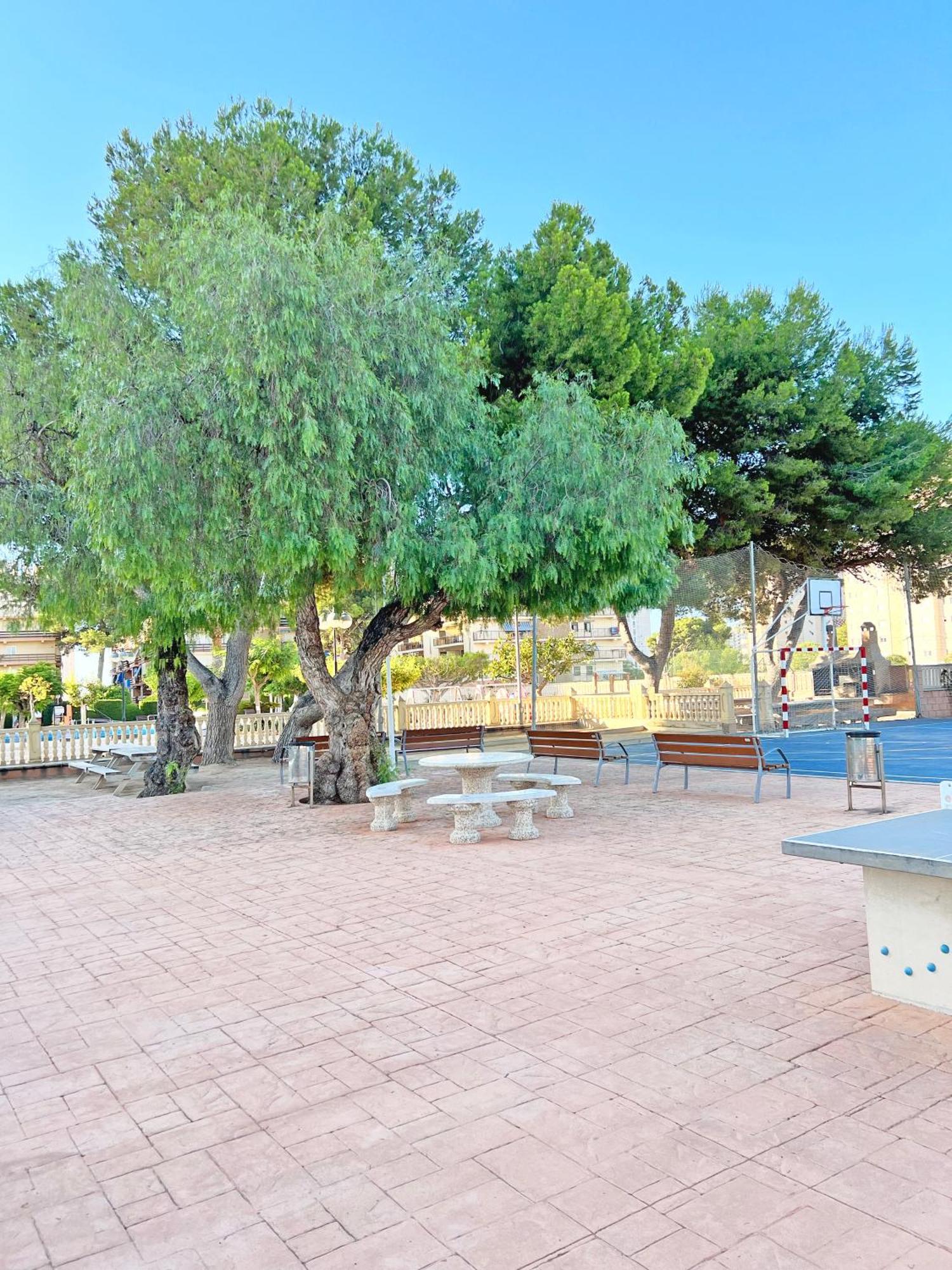 Appartement Coqueto Con Piscina, Nuevo A 50m Del Mar, Parking Gratis El Campello